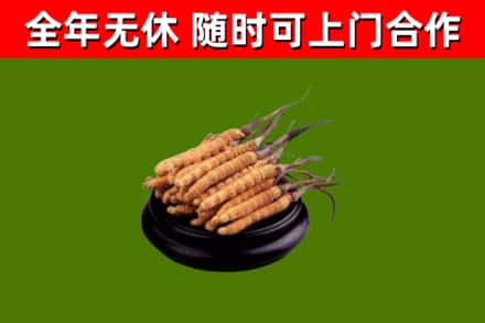 玉屏县烟酒回收冬虫夏草.jpg
